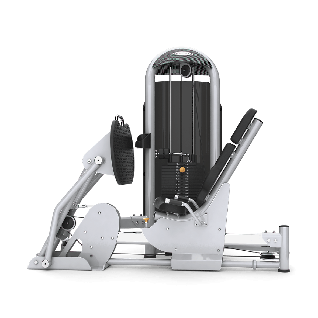 Matrix LEG Press gamme Aura